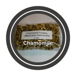 chamomile
