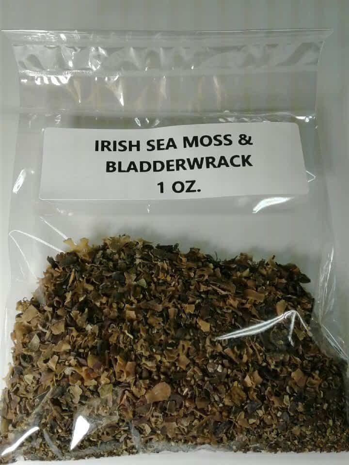 irish-moss-bladderwrack