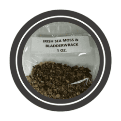 sea-moss-bladderwrack