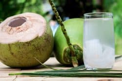 coconut-water-powder