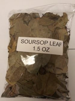 Soursop Leaves 1.5 oz