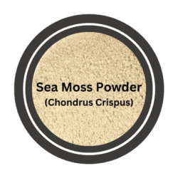 sea-moss-powder