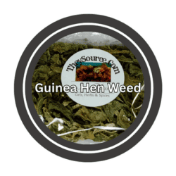 guinea-hen-weed
