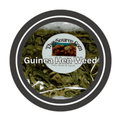 Guinea Hen Weed