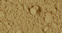 Burdock Root Powder