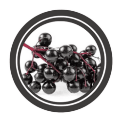 Elderberry Whole 1 oz